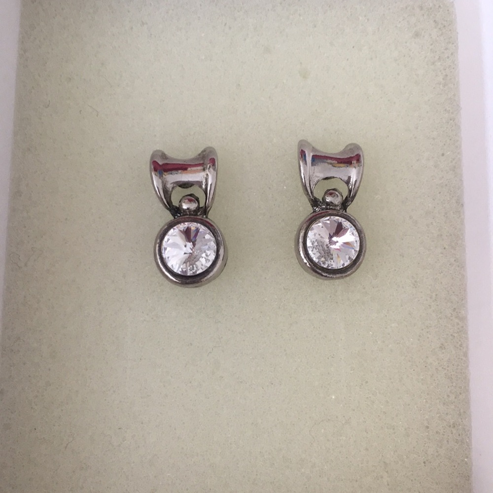 Fashion Elegant Earrings
